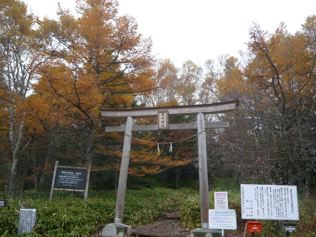  ここから登ります