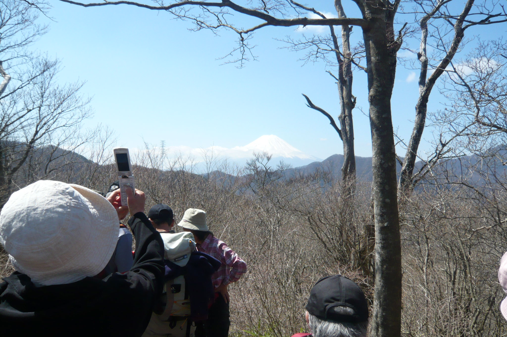  大沢山からの富士山