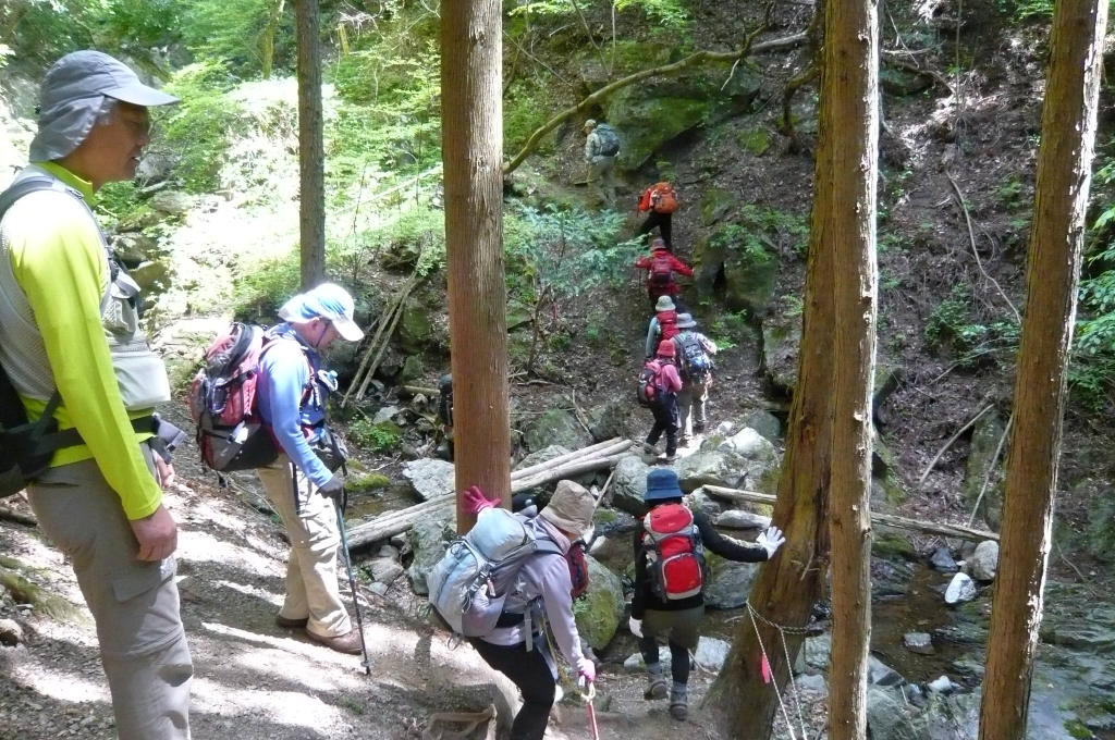  沢道を登ります