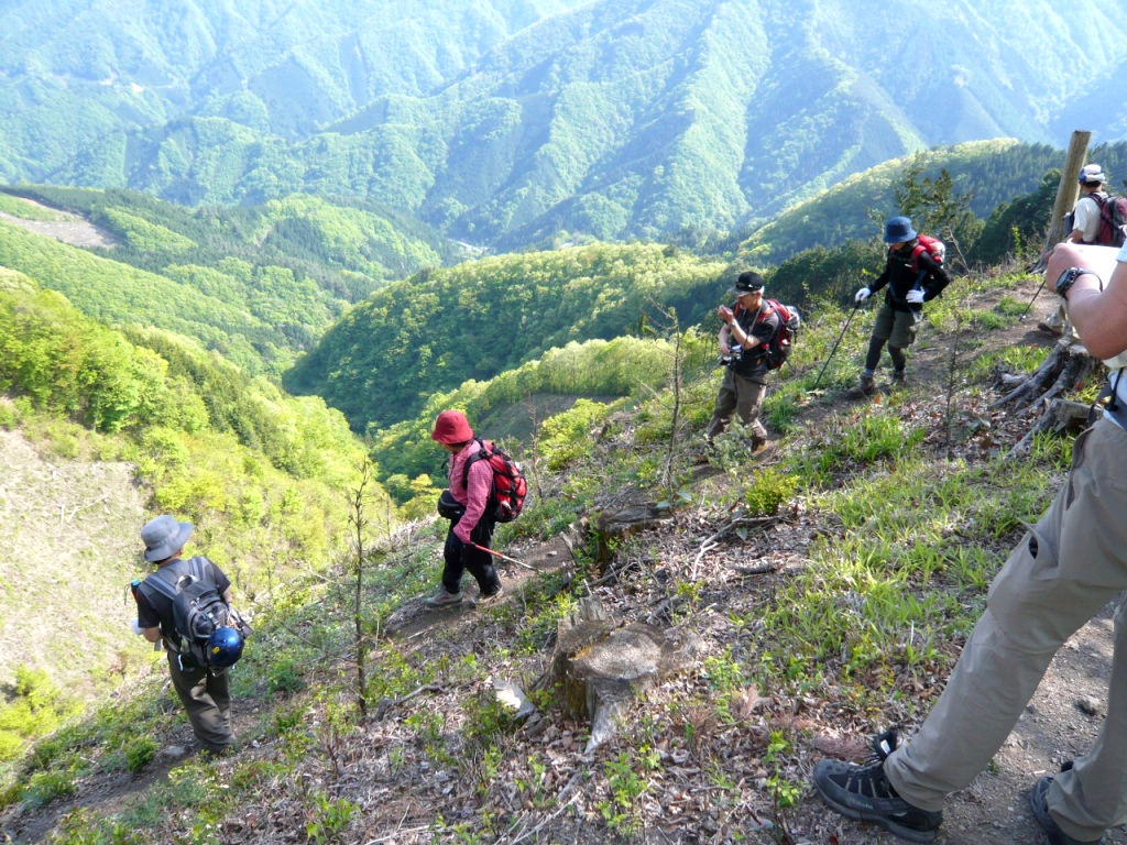 やっと普通の下山道へ