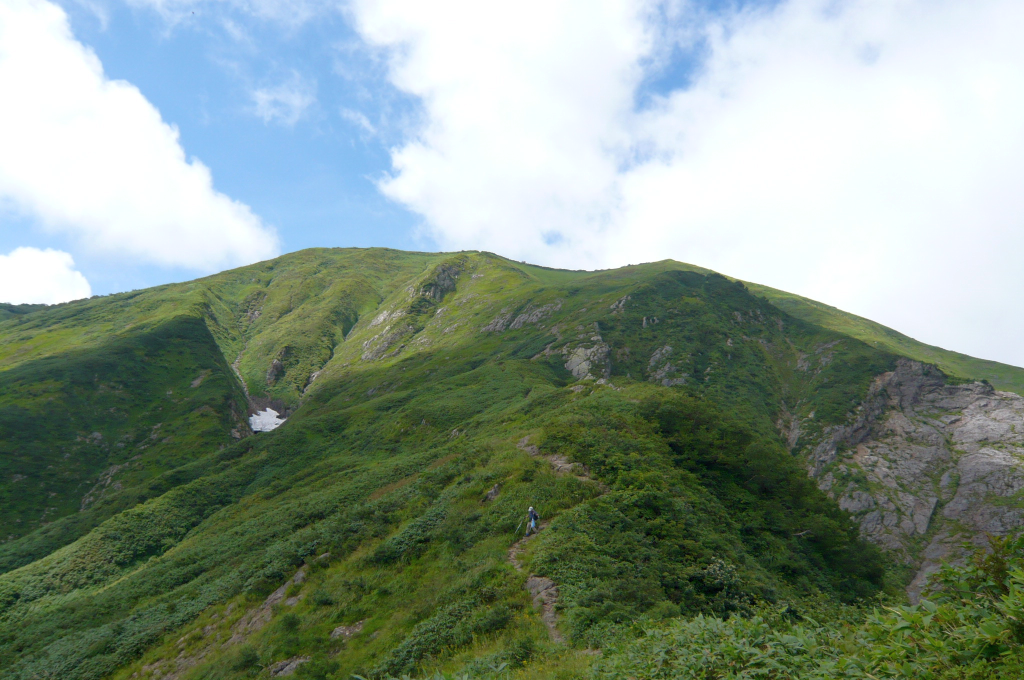  遠く山頂を望む