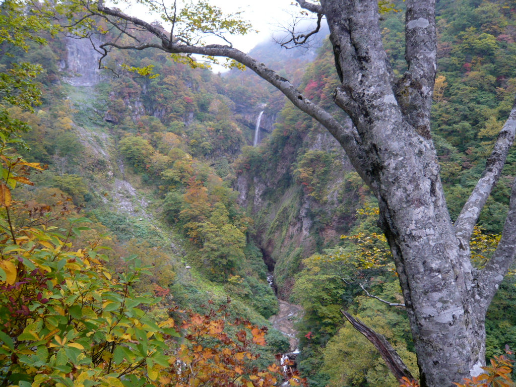 燕温泉　惣滝