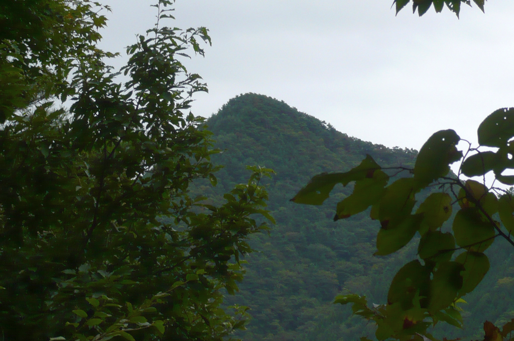 高畑山を振り返る