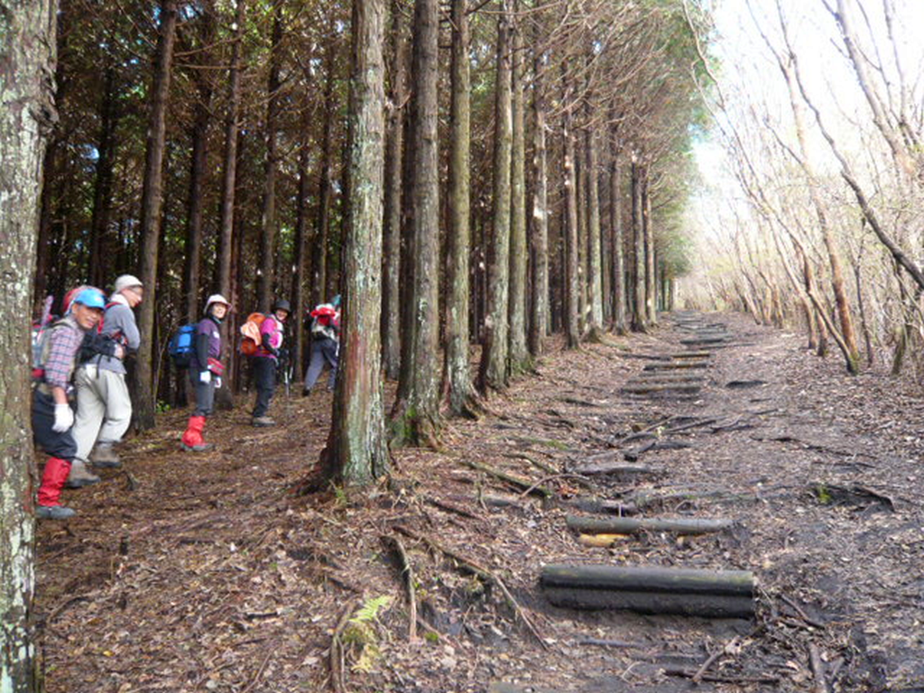  尾根を登ります