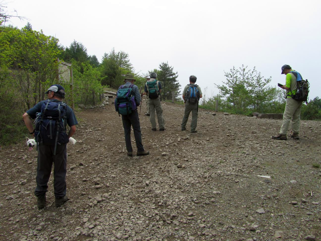 登山道をチェック