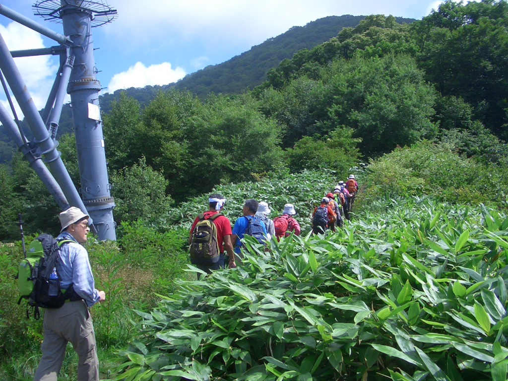 大鉄塔を通過します