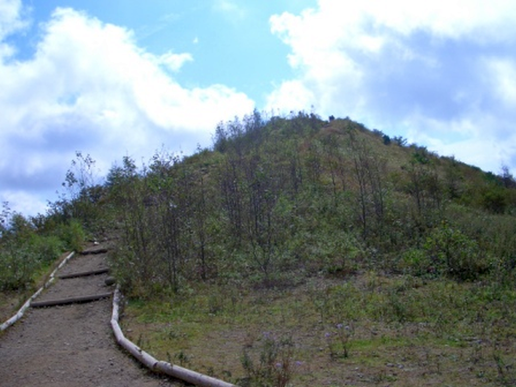 山頂はすぐ其処