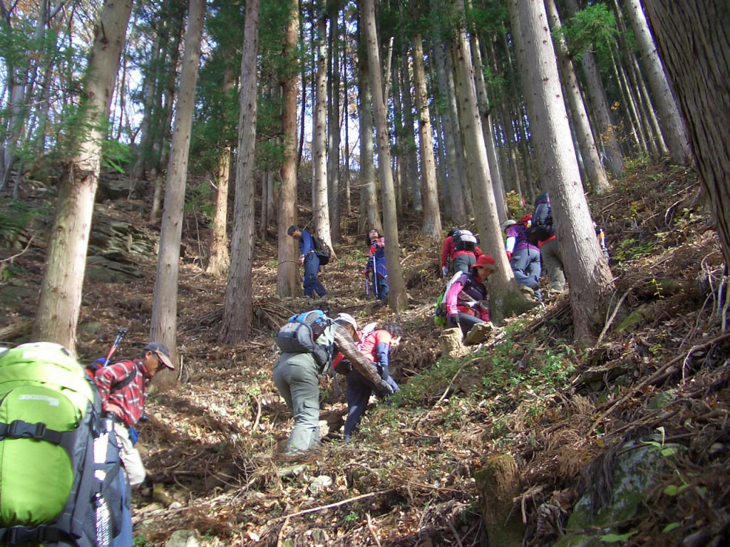 急登が続きます