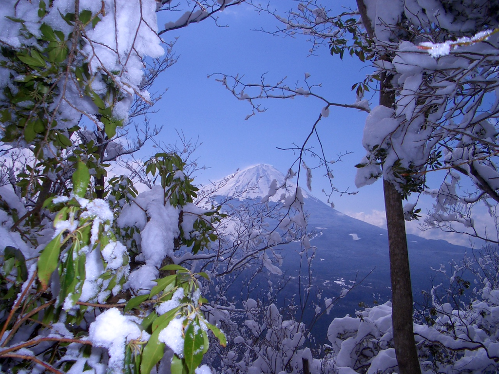  富士山が見えます