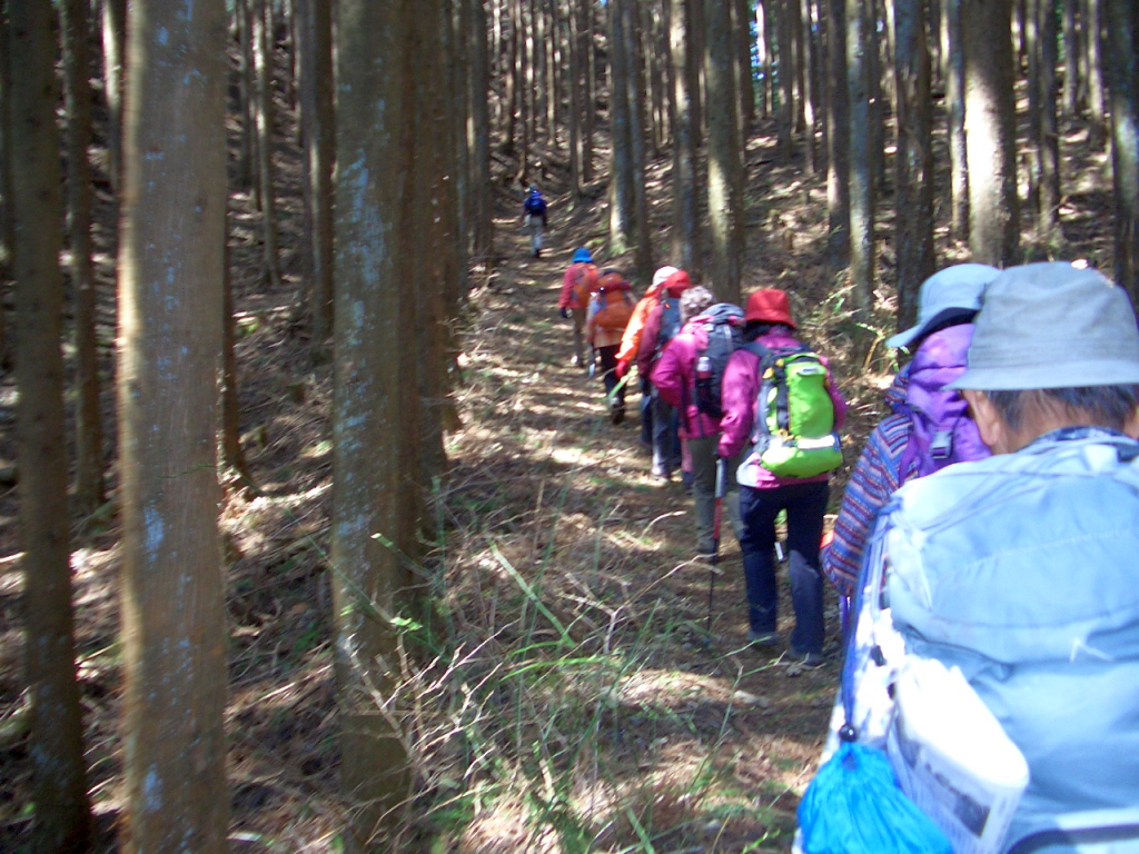 静かな山道を行きます