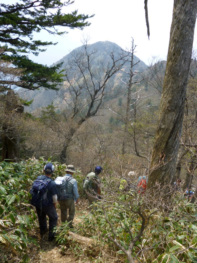  鶏頂山を望みながら下山