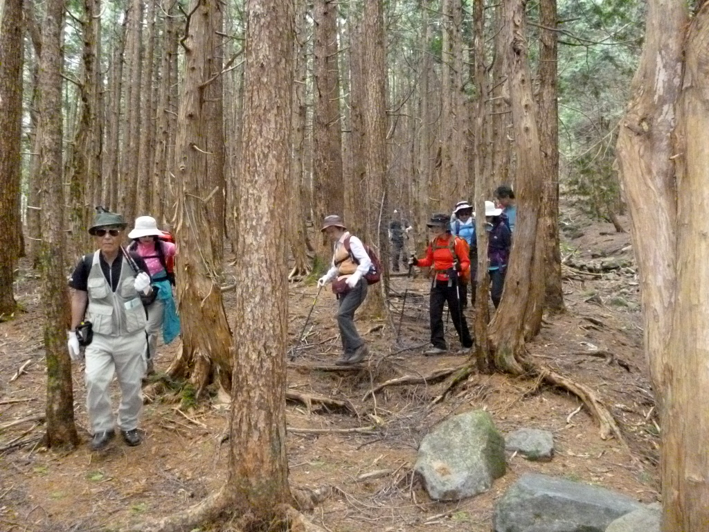  下山の途中で