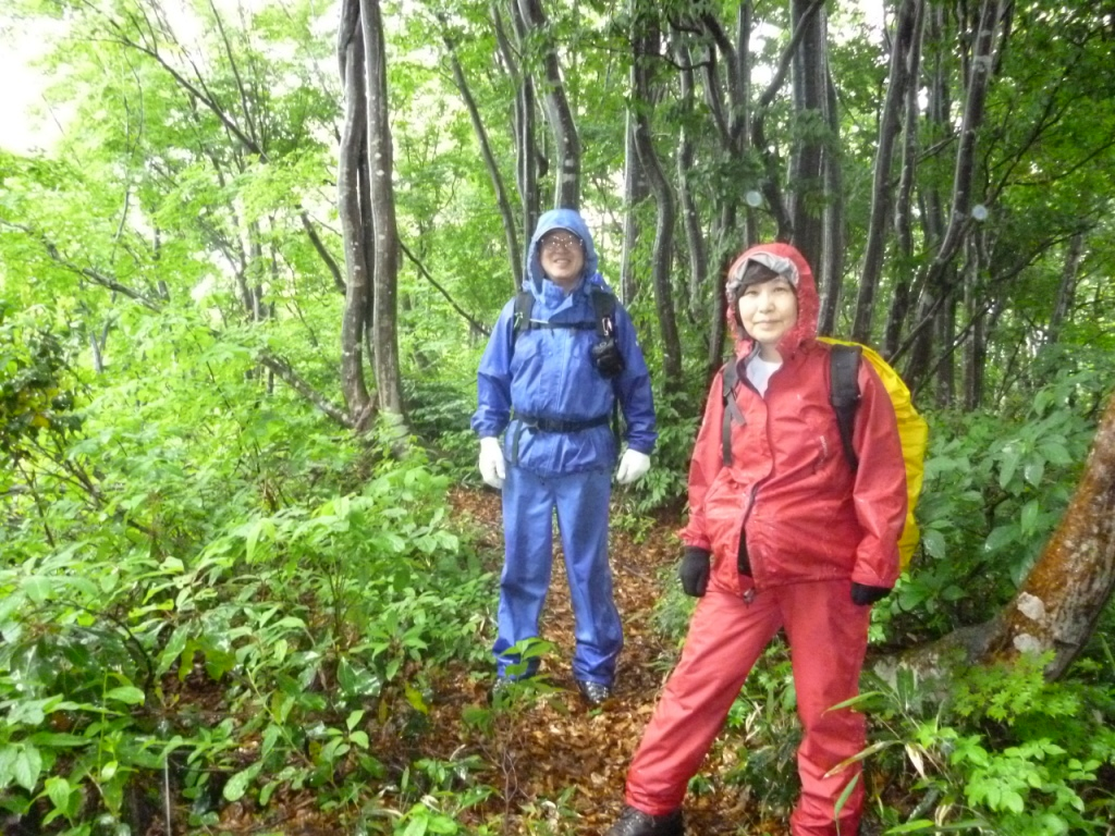  雨の中を行きます