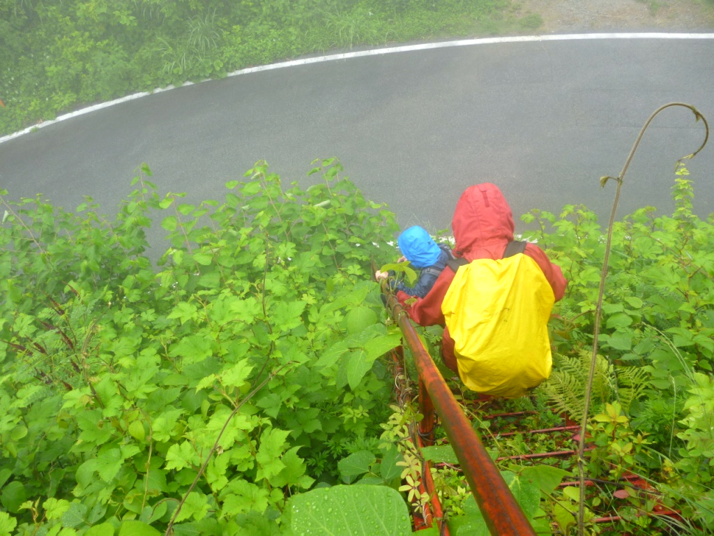  入道峠の車道を越えます