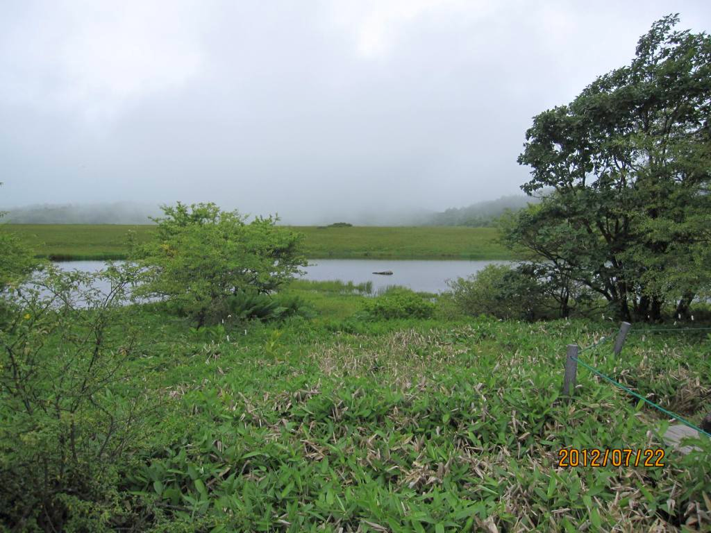 湿原の霧が晴れ始めました