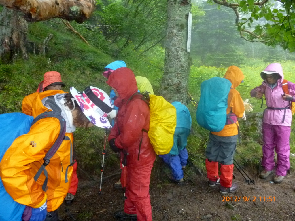  気温１０度、雨が更に激しくなってきました