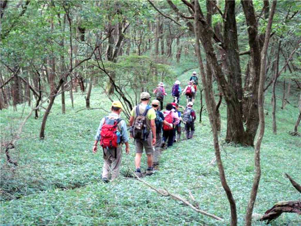  ほんとに熊が出そうな道を熊鷹山へ進みます