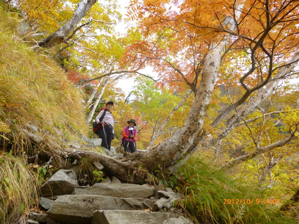  紅葉の中の２人