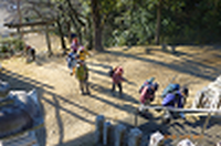  大山祇神社より登山開始