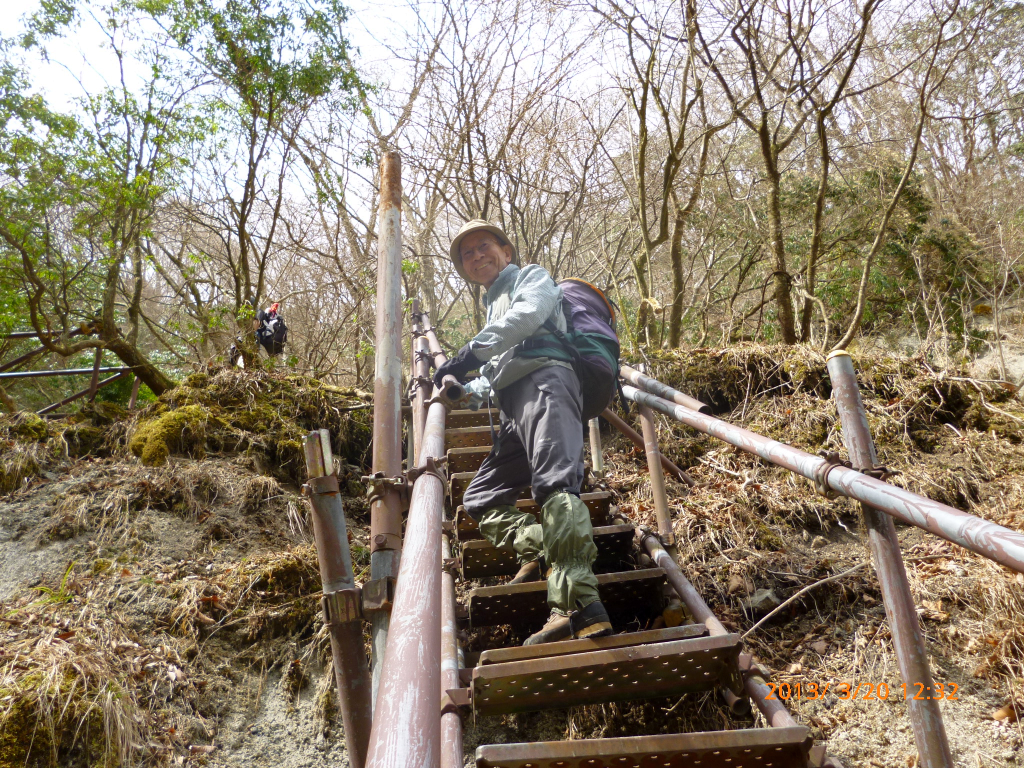  梯子を登ります