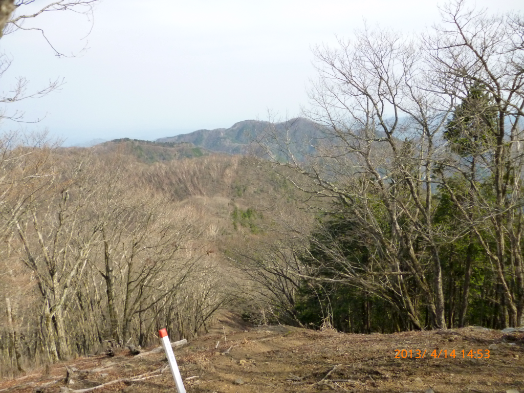  遠くに川苔山と歩いてきた道を望む