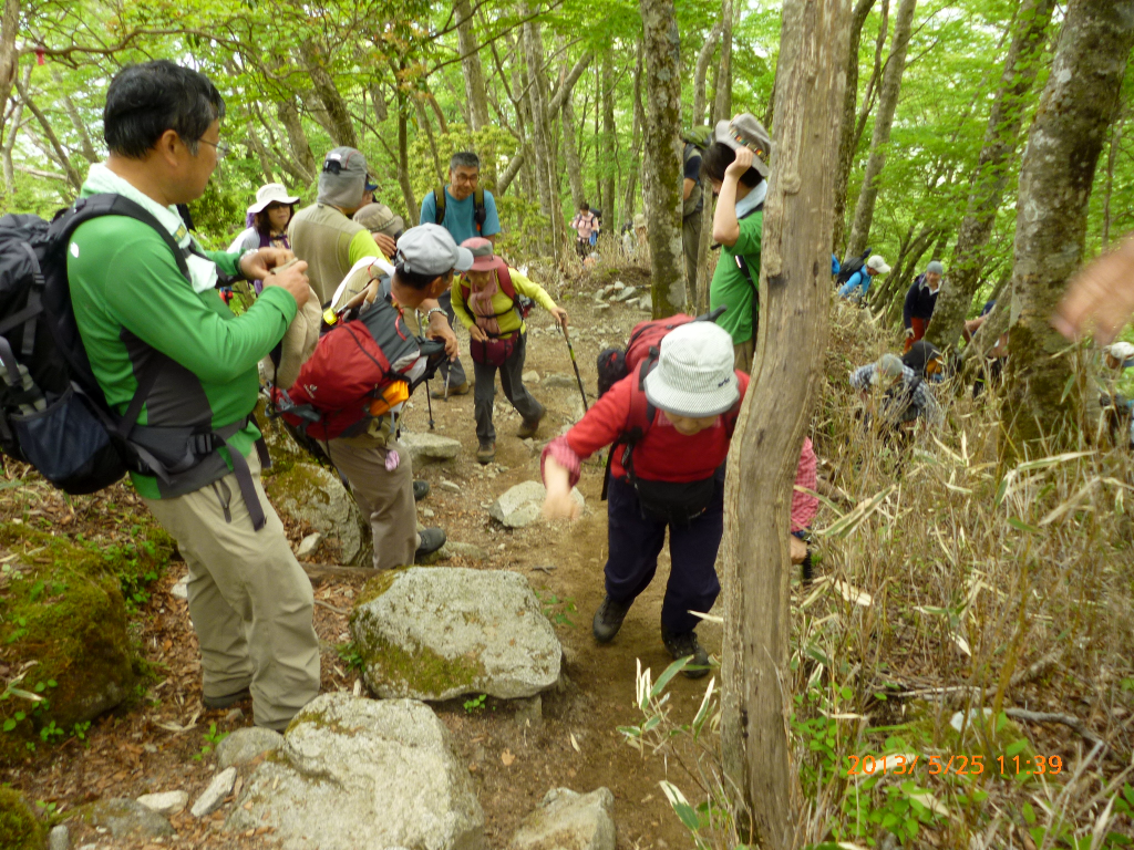  大渋滞の登山道