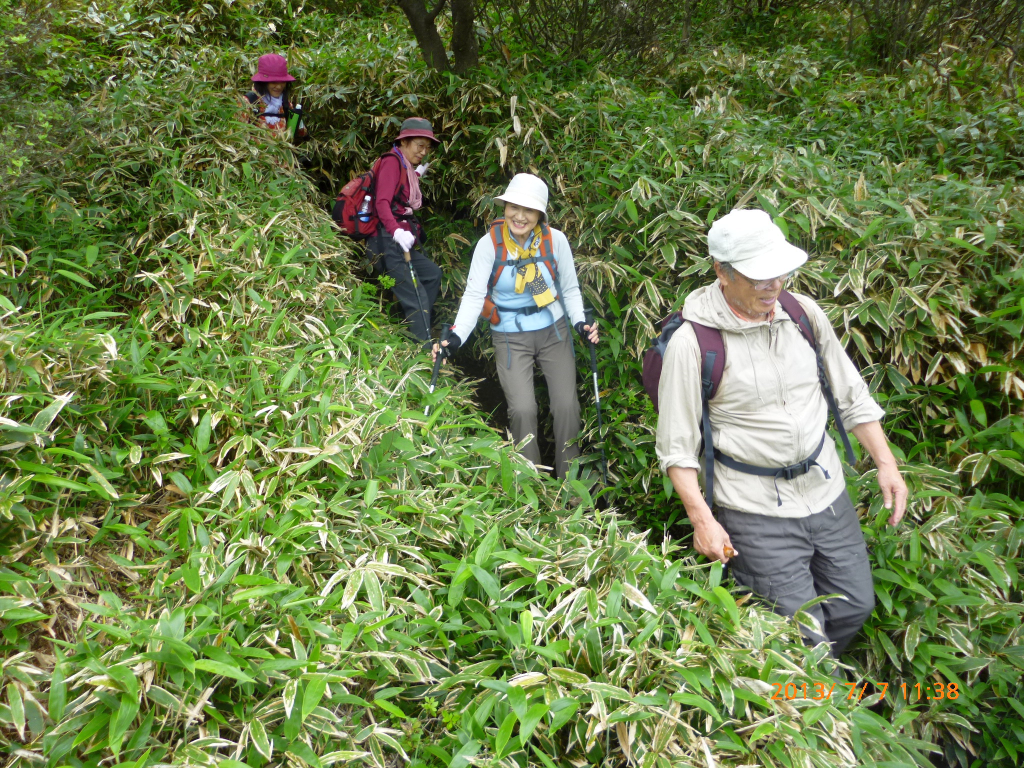  熊笹の中を下山します