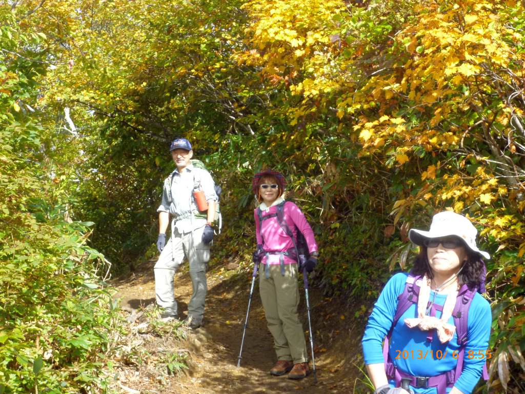  紅葉の登山道