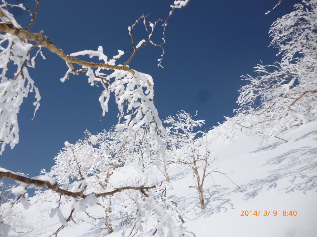 群青色の空と樹氷