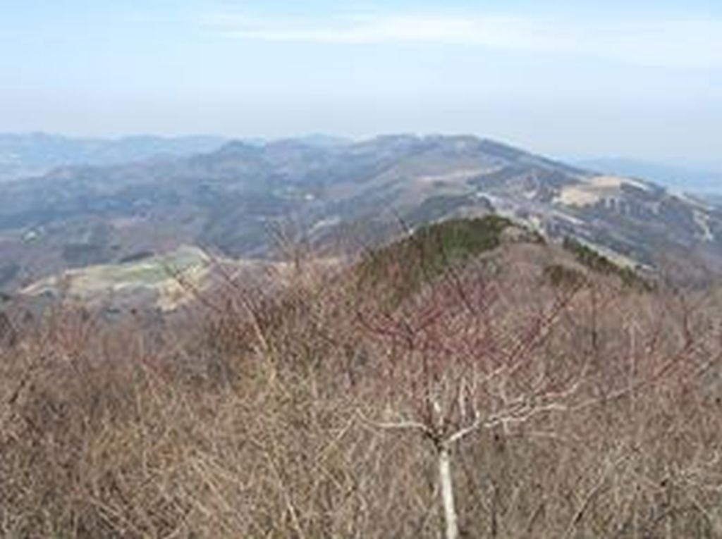 初春の秩父の山並み