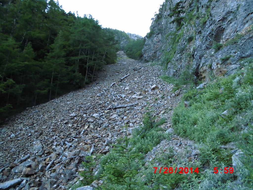 このガレた沢を登ります