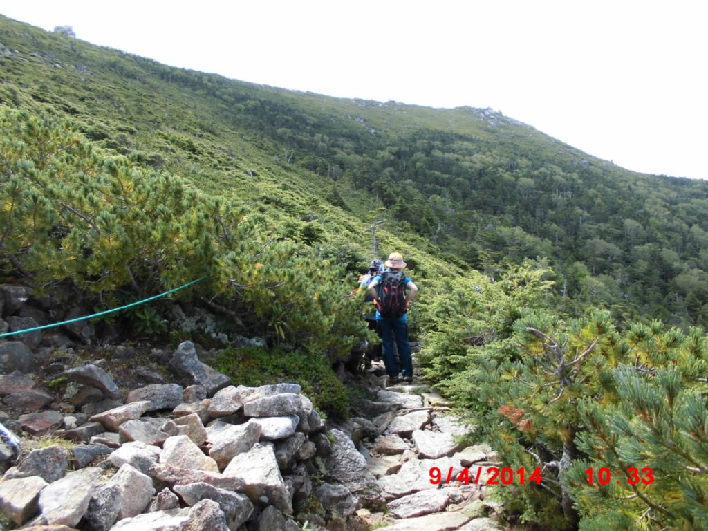 山頂に向かいます