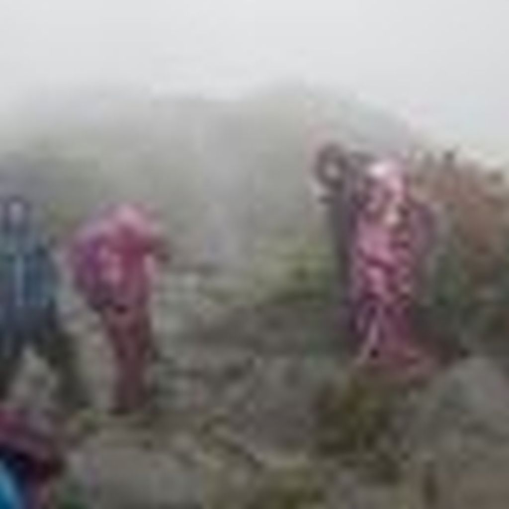 雨で下山道はグチョグチョ