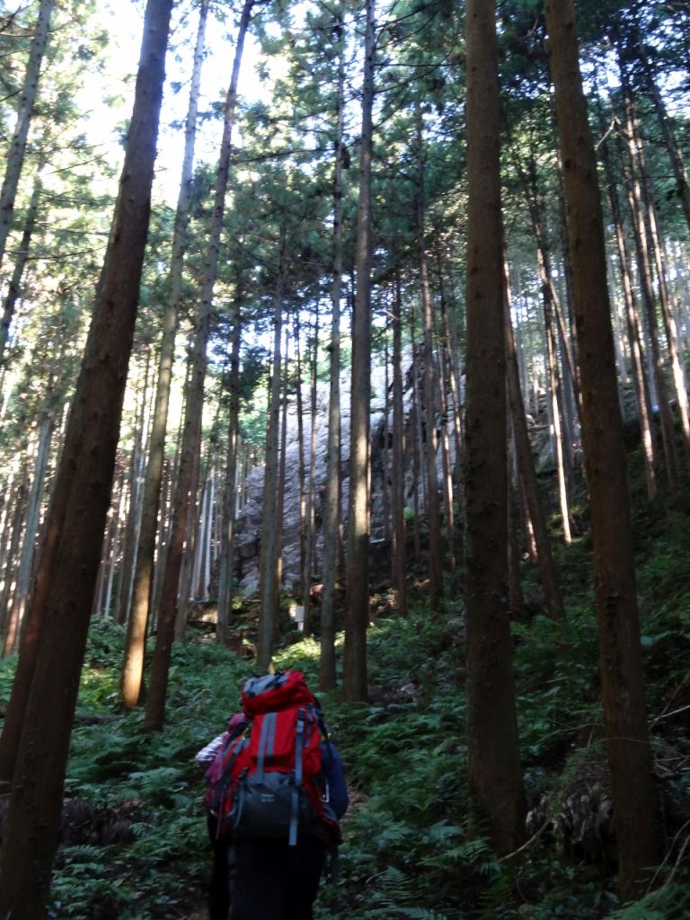 ゲレンデに向かう登山道