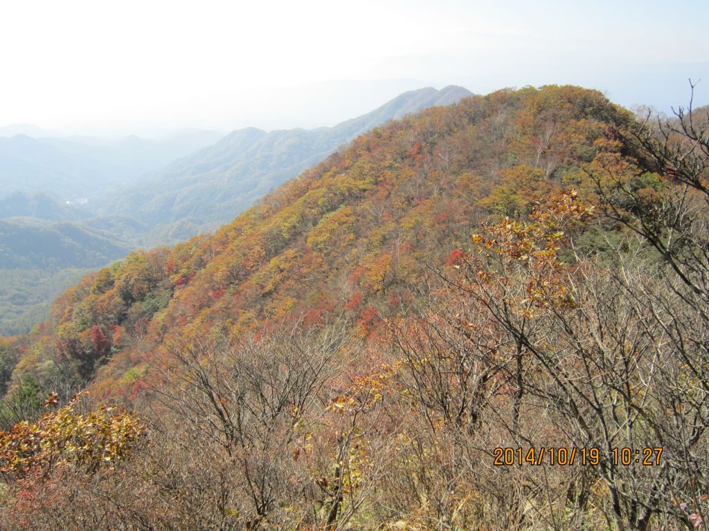 紅葉は半ば