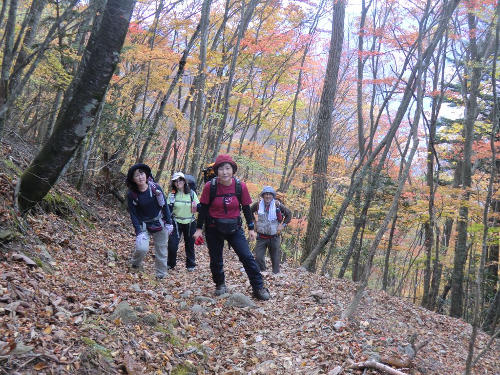 紅葉を見ながら登山します