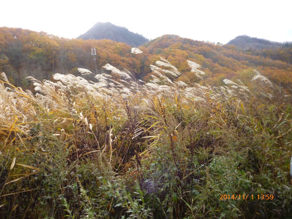 ススキのむこうに紅葉の山並み