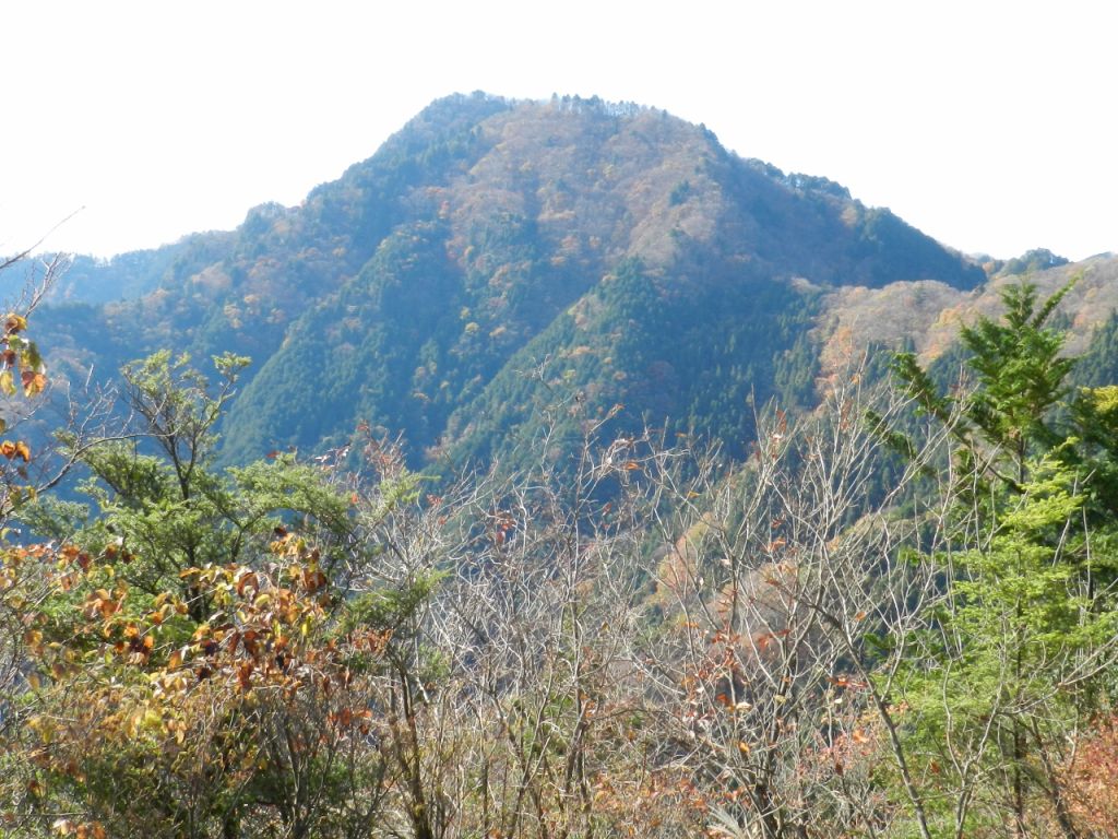 あの山に登ります