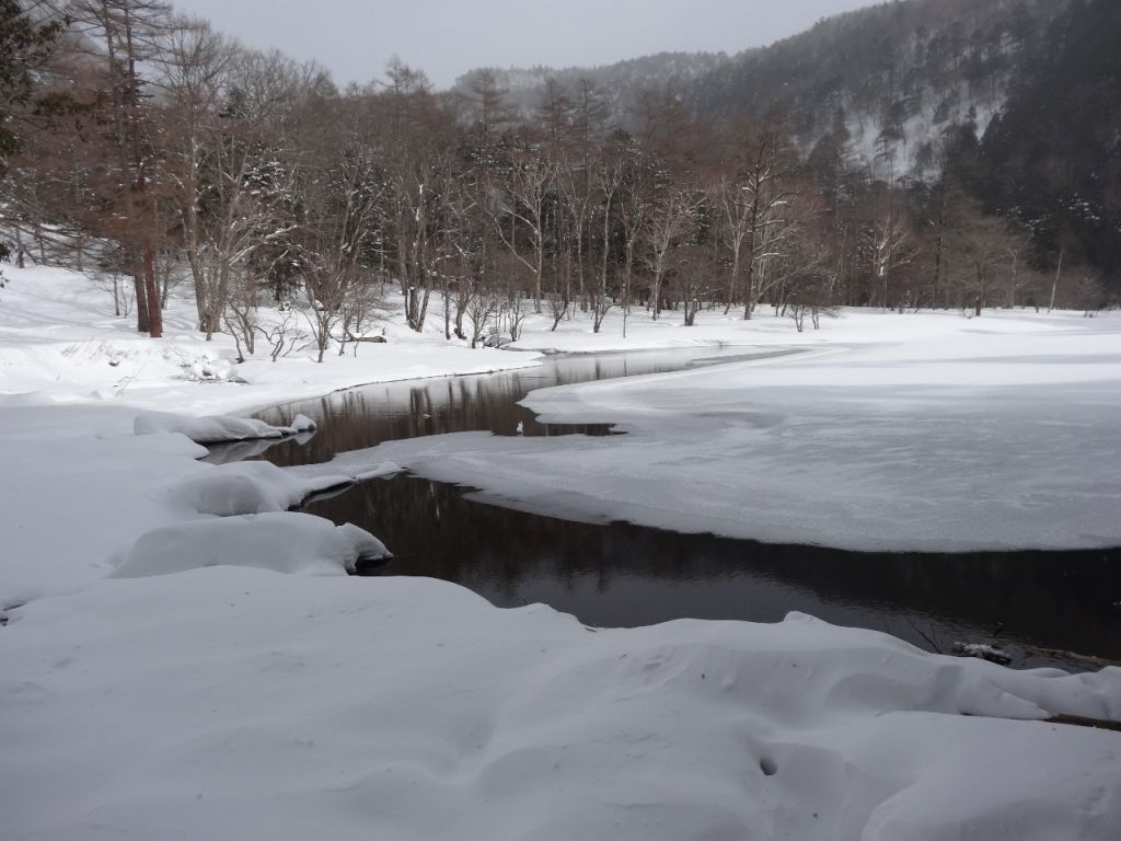 ここを回り込みます