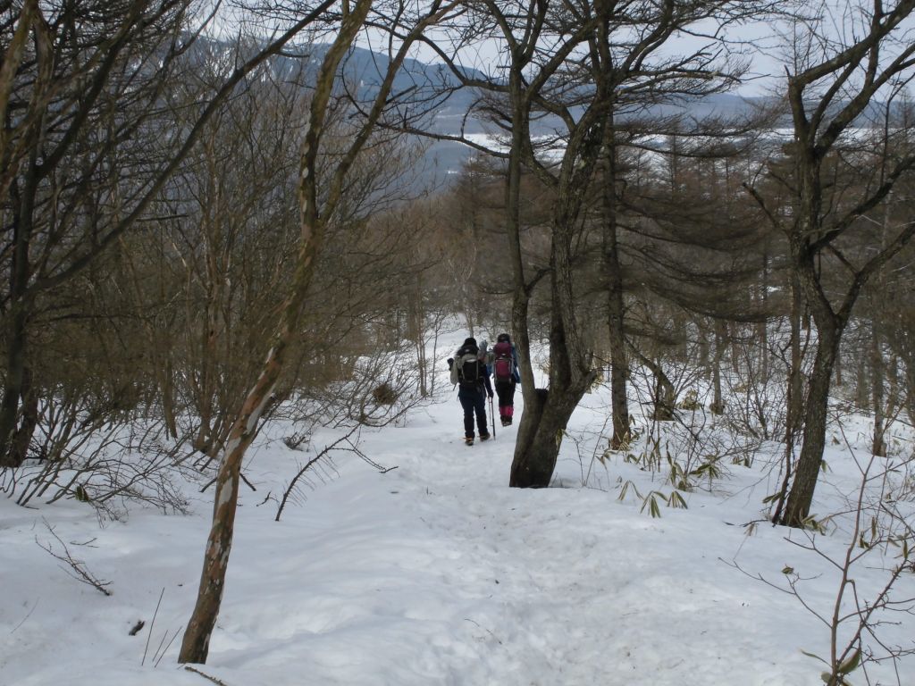 林の中を下山します