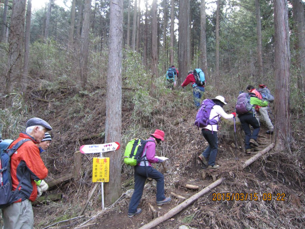 ようやく登山道に到達