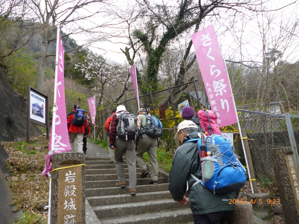 登山口、桜まつりの最中です