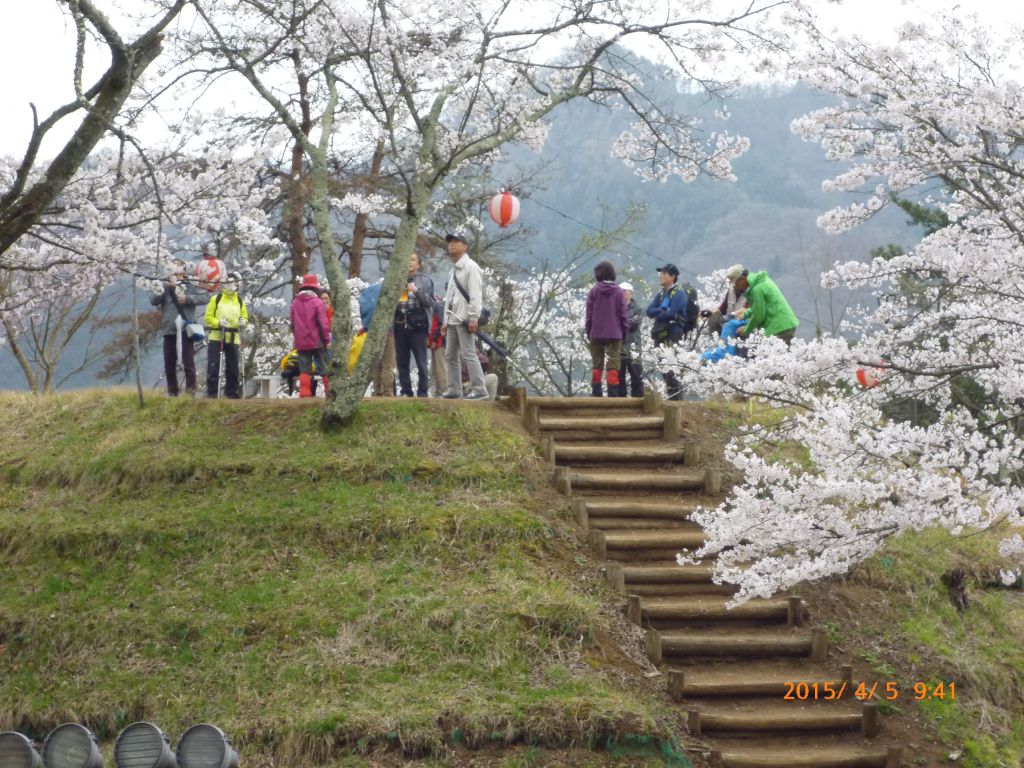 桜の中で一休み