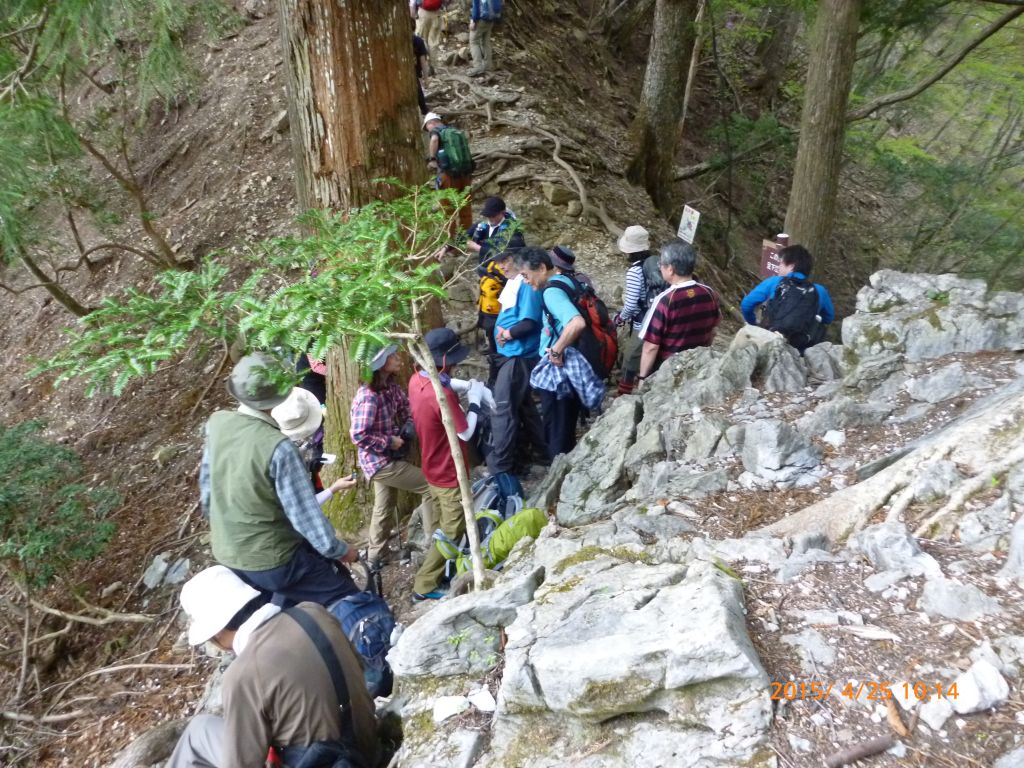 稲村岩の分岐で一休み