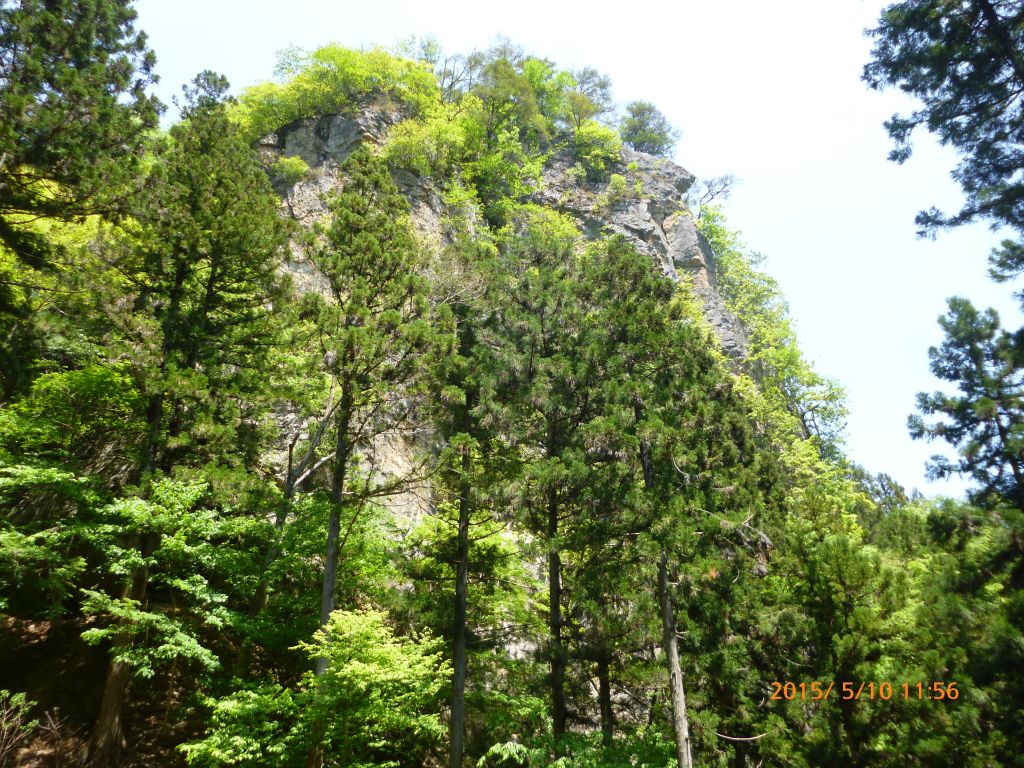 新緑の岩山