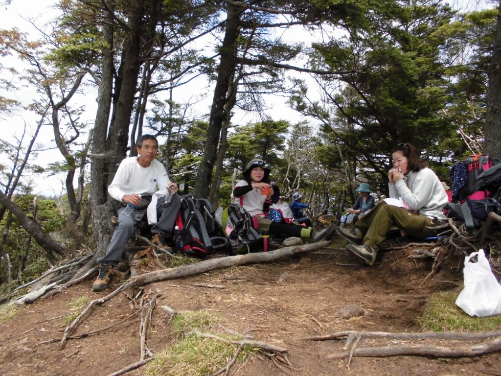 山頂の木陰で昼食