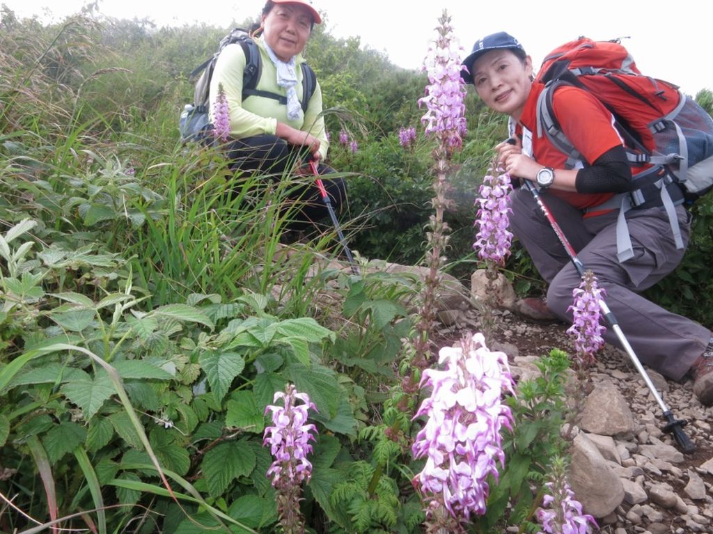 花と女性陣