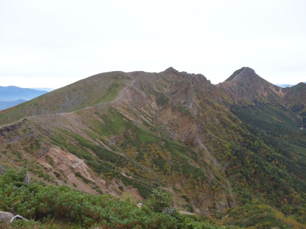 歩いてきた道を振り返ります