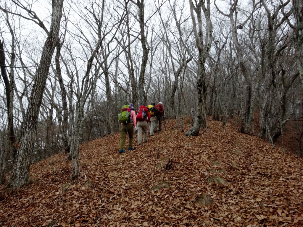 登山道を行きます