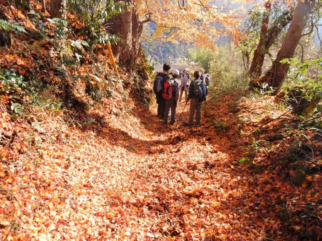 紅葉を踏みしめながら